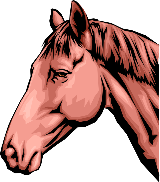 Vector Illustration of Quadruped Equine Equestrian Horse Head