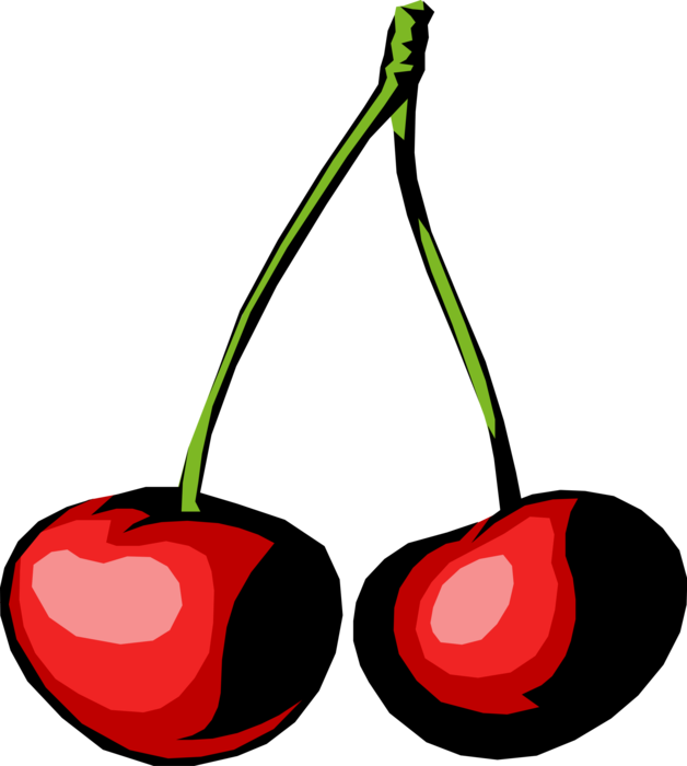Vector Illustration of Edible Fruit Sweet Cherries