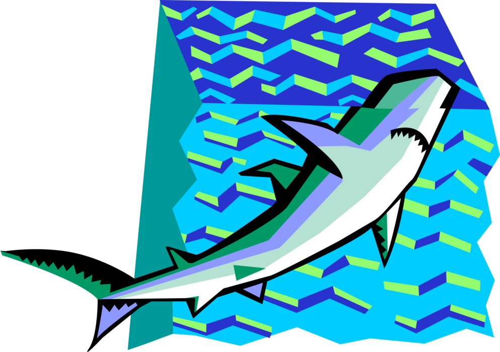 Vector Illustration of Marine Predator Shark