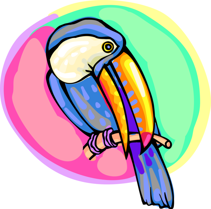Vector Illustration of Colorful Large-Bill Toucan Bird on Branch
