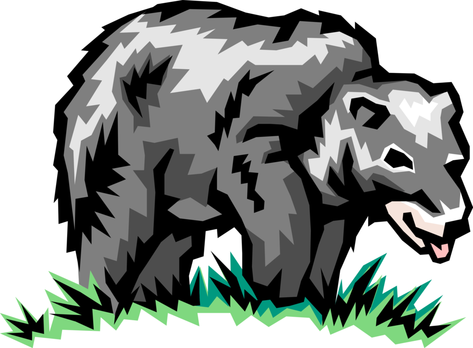 Vector Illustration of Black Bear Walks Through Grass