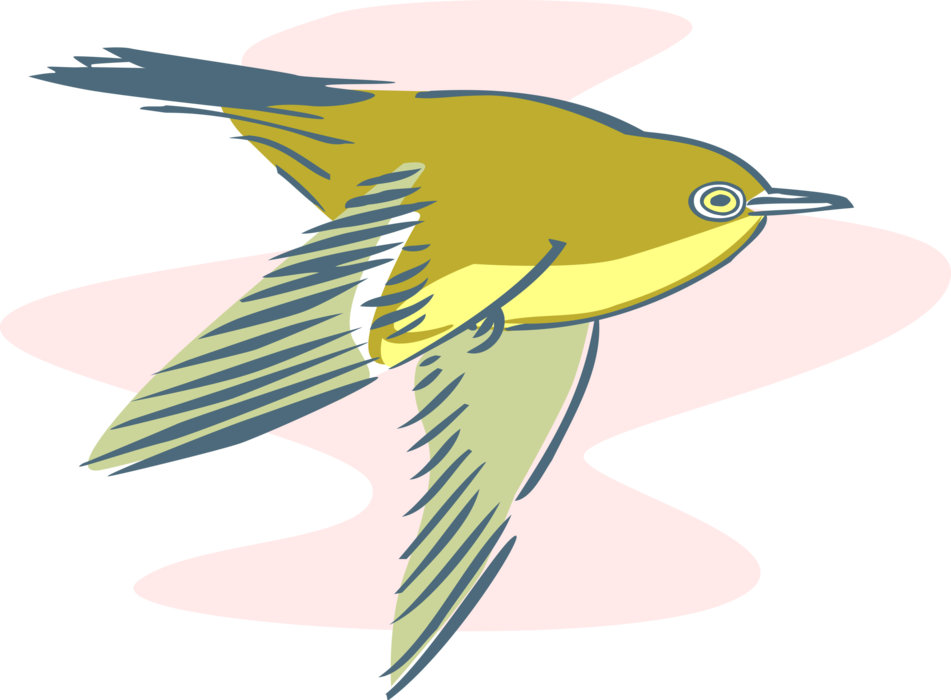 Vector Illustration of Feathered Bird Flying
