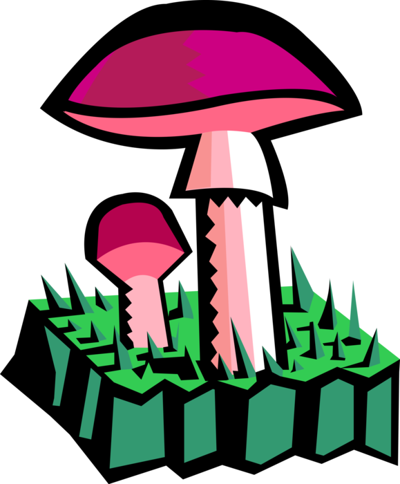 Vector Illustration of Edible Mushroom or Toadstool Fleshy Spore-Bearing Fungus Food Growing in Grass