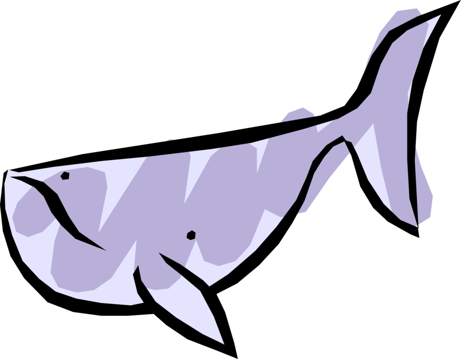 Vector Illustration of Baleen Mammal Whale Swims in the Ocean