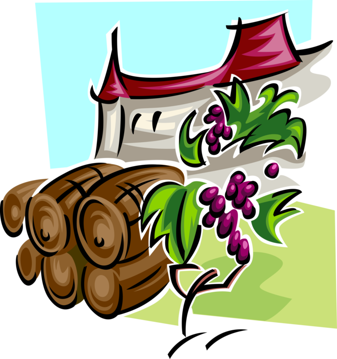 Vector Illustration of Vineyard Winery with Wine Barrel Casks and Grapes on Vines