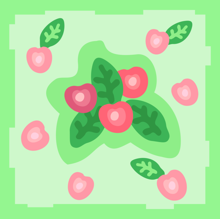 Vector Illustration of Sweet Red Fruit Cherries