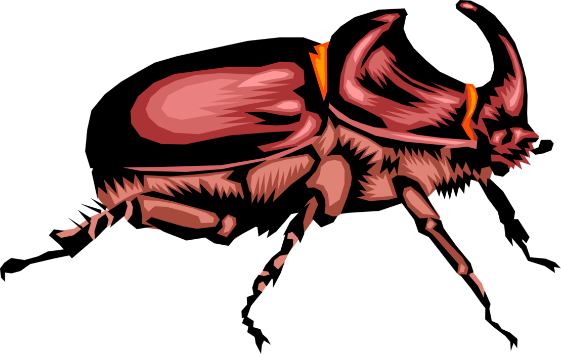 Vector Illustration of Rhinoceros Scarab Horn Beetle Insect