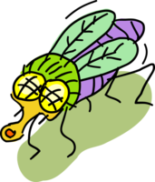 Dragonfly20160822 3757 1xrmmpi