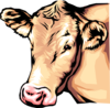 2y222dqr2c anim0058