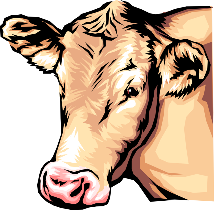 Vector Illustration of Farm Agriculture Livestock Animal Dairy Cow Head Turned