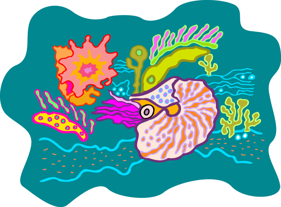 Vector Illustration of Colorful Underwater Marine Life Seashells 