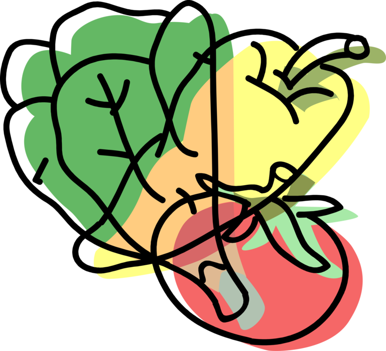 Vector Illustration of Fresh Garden Vegetables Tomato with Pepper and Leaf Lettuce