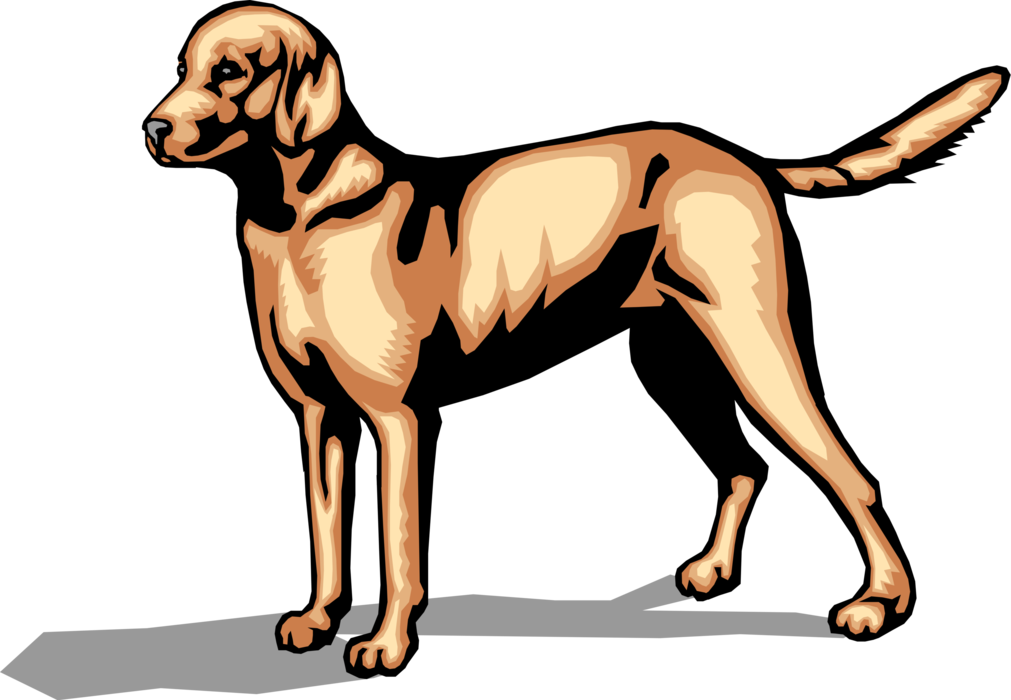 Vector Illustration of Family Pet Dog Standing at Attention