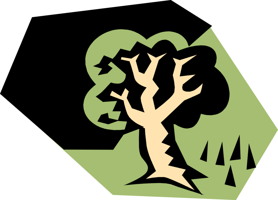 Vector Illustration of Deciduous Forest Tree Symbol