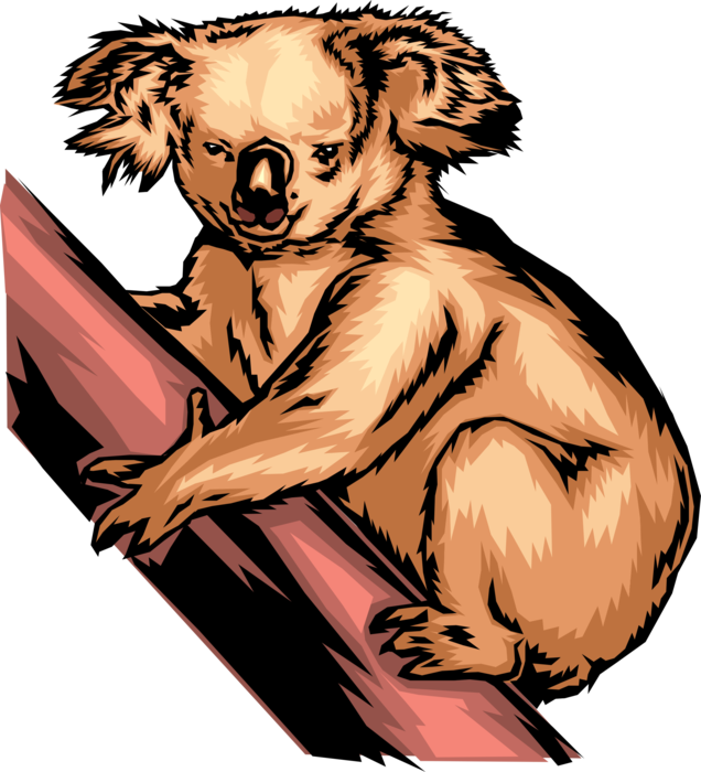 Vector Illustration of Australian Arboreal Herbivorous Marsupial Koala Bear