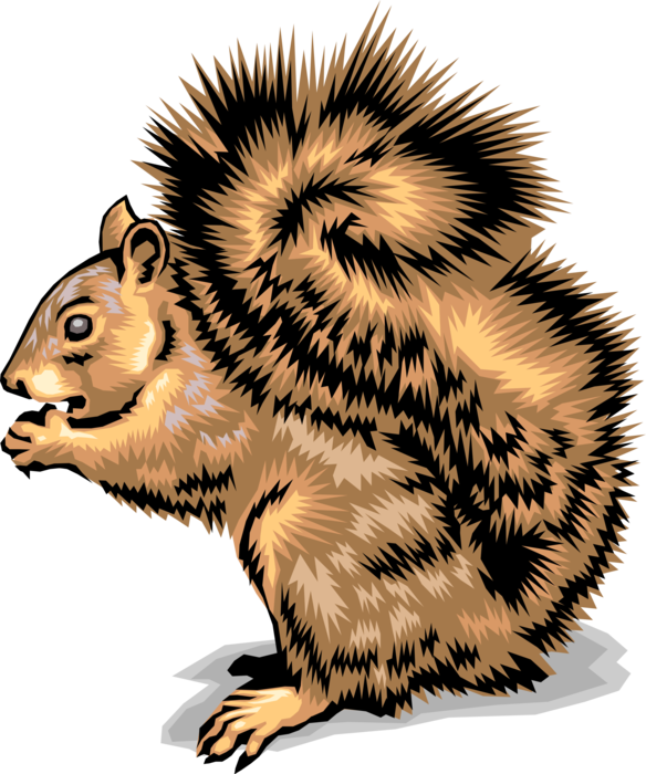 Vector Illustration of Arboreal, Bushy-Tailed Rodent Squirrel Eats Nut