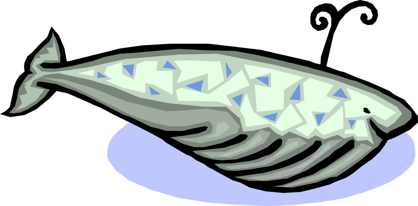 Vector Illustration of Marine Mammal Baleen Whale Blows Air