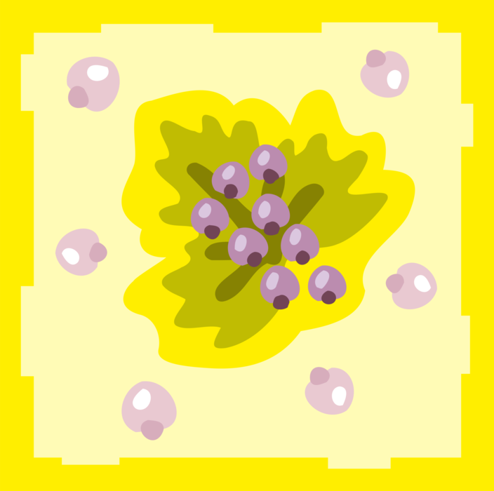 Vector Illustration of Purple Fruit Grapes