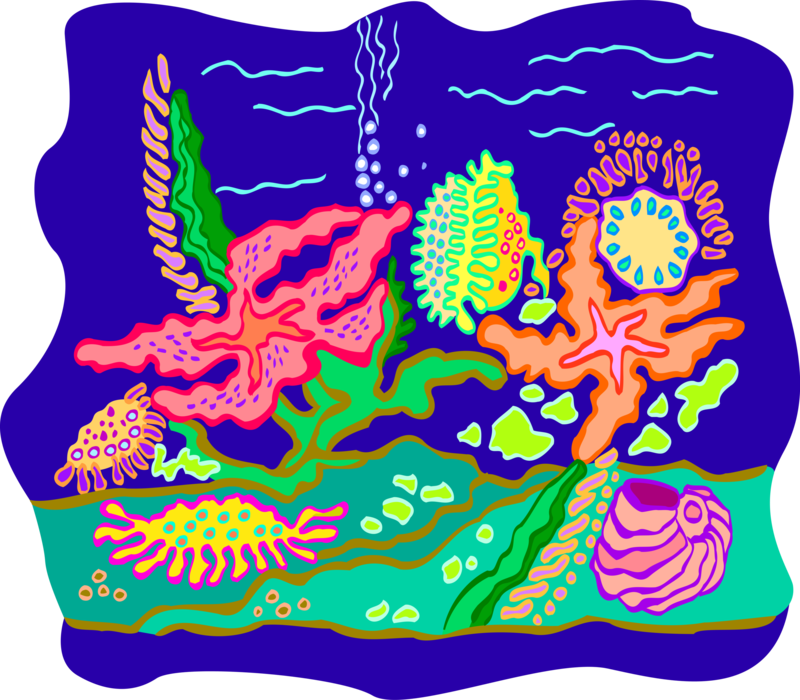 Vector Illustration of Colorful Underwater Marine Life with Reef Coral and Shells
