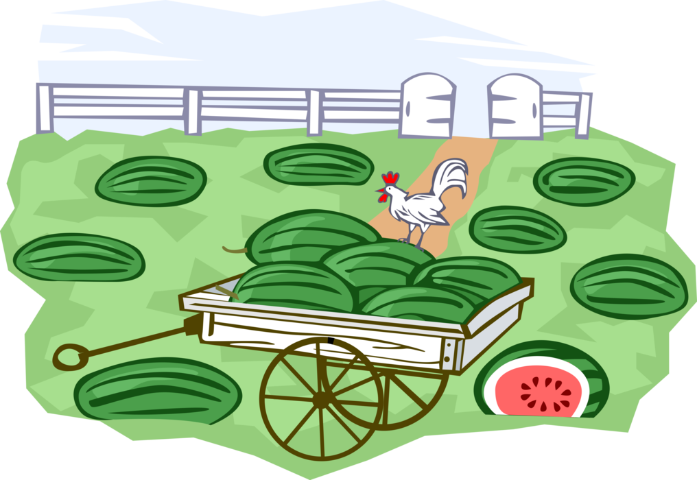 Vector Illustration of Farm Harvest Crop of Watermelons on Cart Wagon
