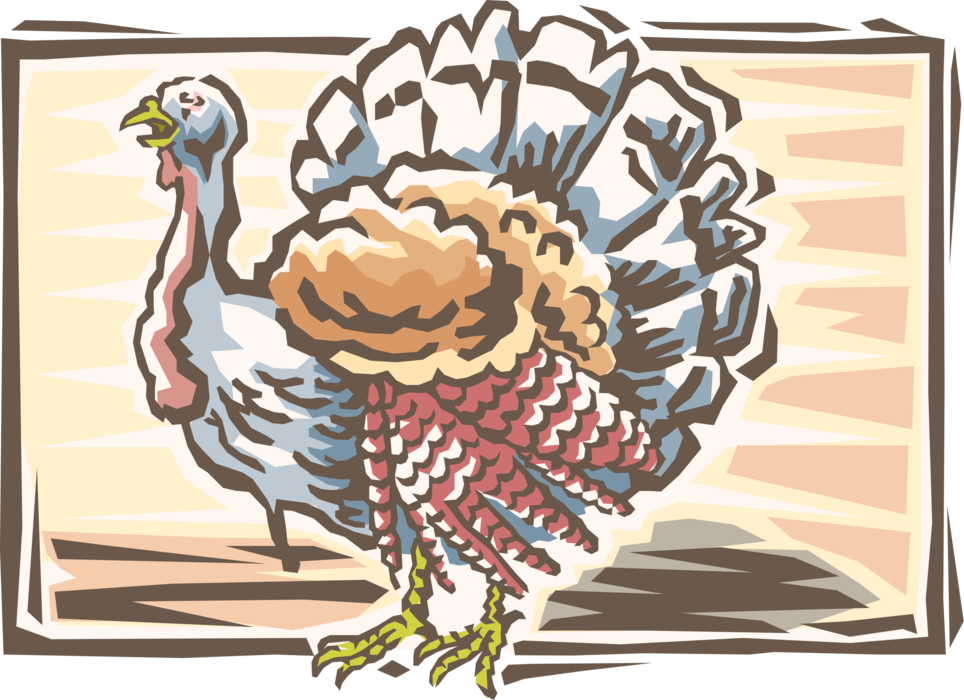 Vector Illustration of Wild Turkey Christmas or Thanksgiving Turkey Poultry Dinner