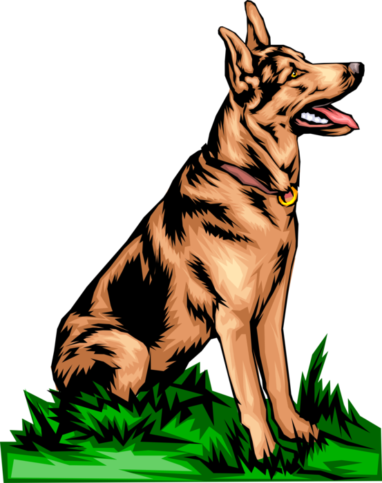 Vector Illustration of German Shepherd Dog Sits and Looks Up