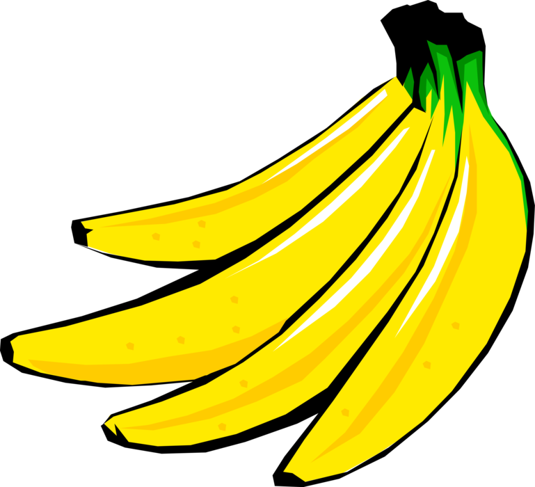 Vector Illustration of Four Edible Fruit Bananas