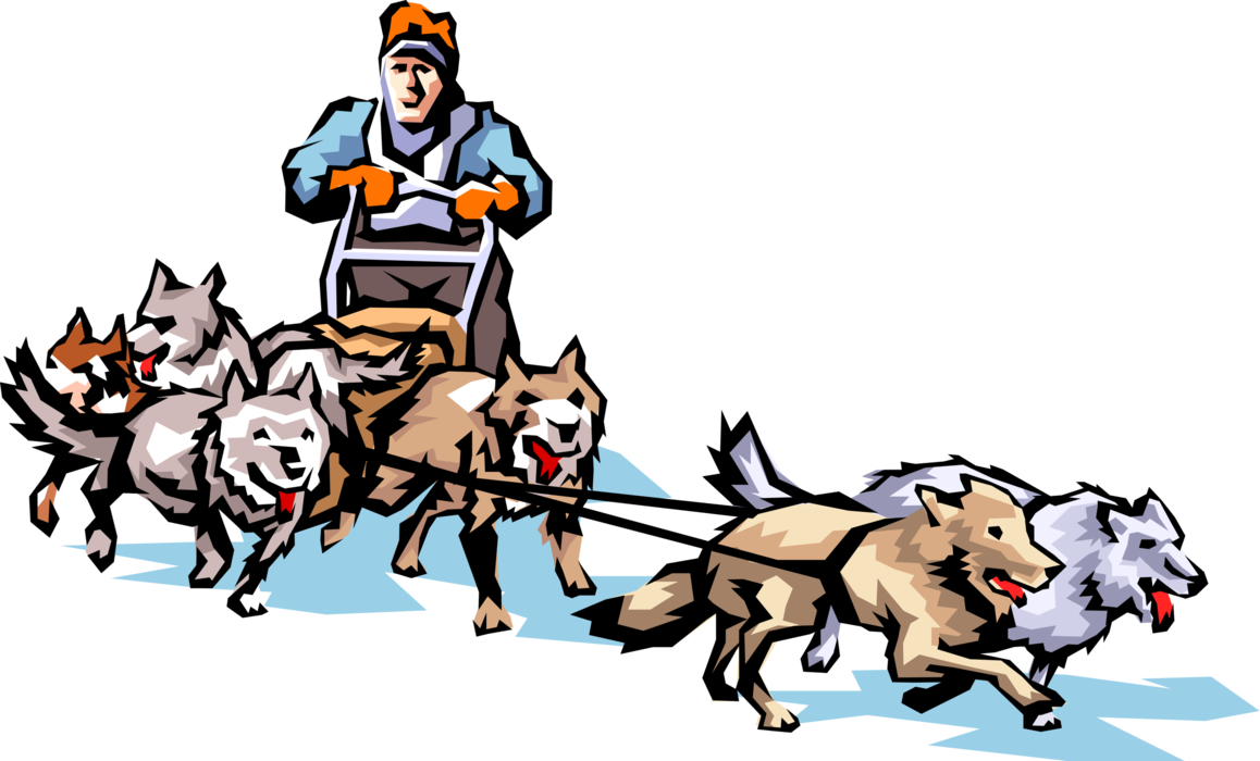 Vector Illustration of Dog Sledding in Alaska on Snow with Sled Dogs 