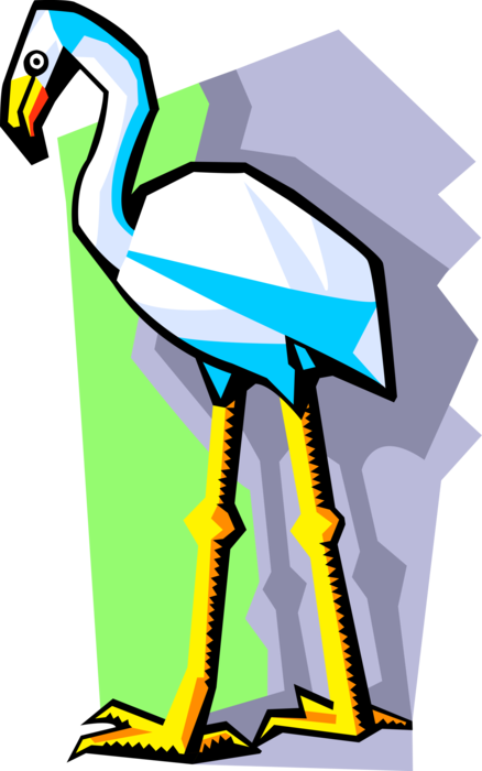 Vector Illustration of Long-Legged Freshwater Heron Bird Standing