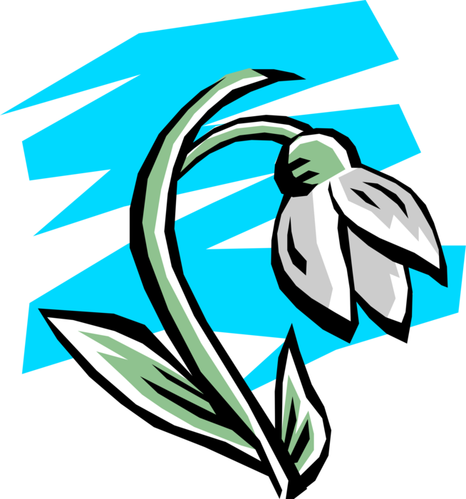 Vector Illustration of White Flower Blooming