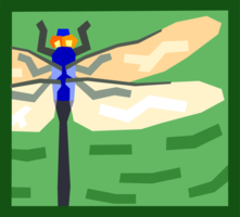 Dragonfly20160822 3757 l1o7ot