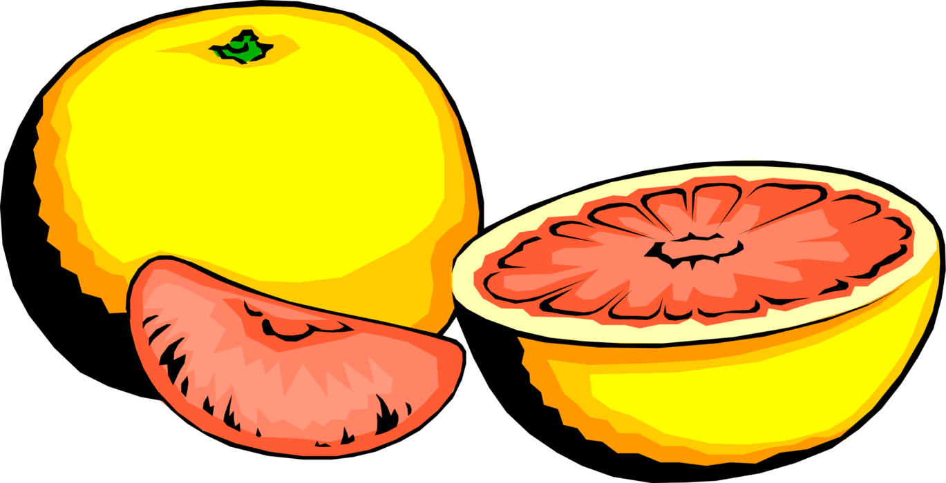 Vector Illustration of Sour to Semi-Sweet Citrus Fruit Grapefruit and Slices