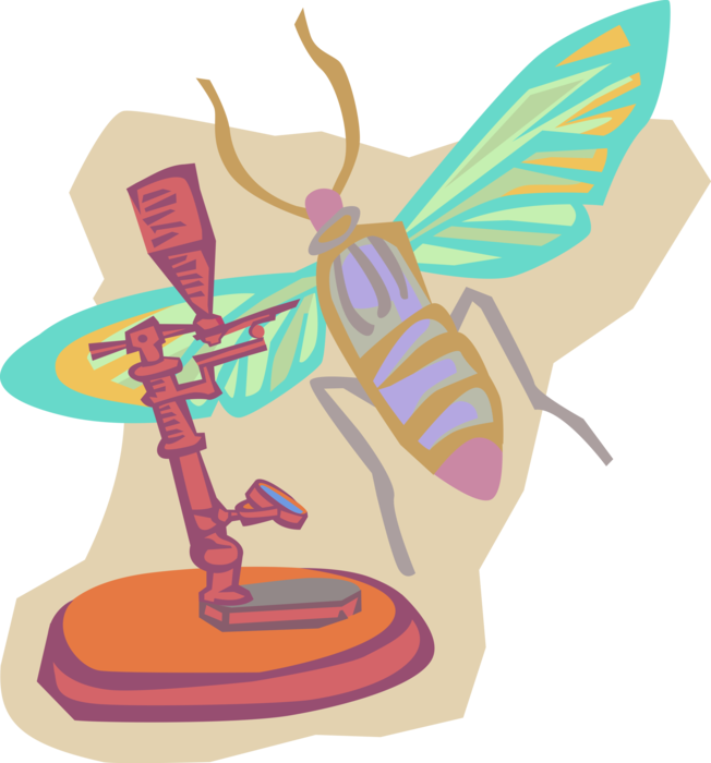 Vector Illustration of Entomology Insect Research with Microscope 