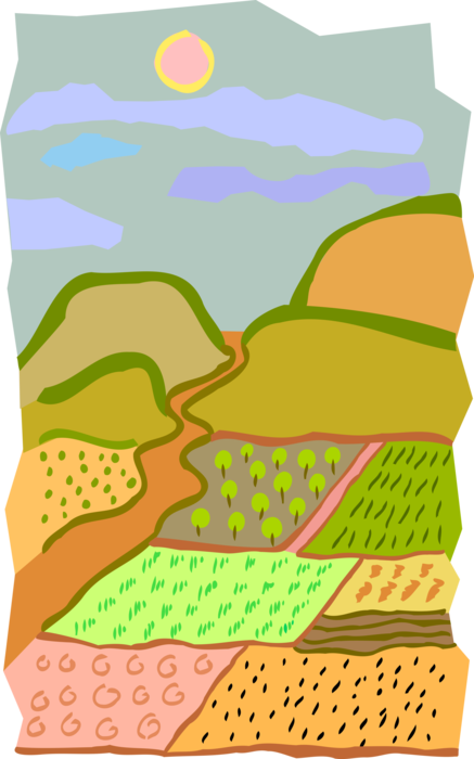 Vector Illustration of Verdant Landscape with Farmland Crops