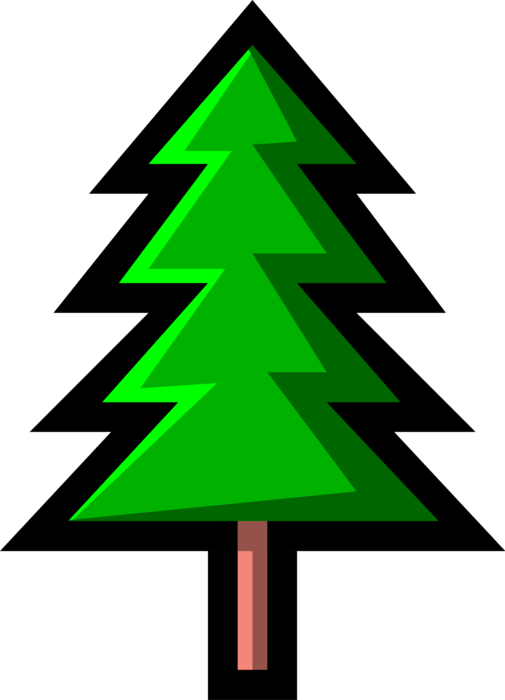 Vector Illustration of Coniferous Evergreen Fir Pine Tree