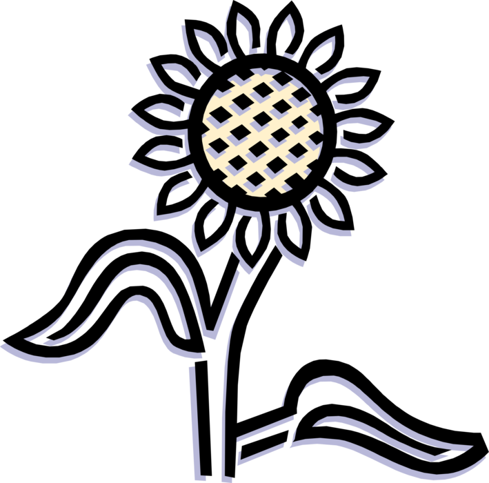 Vector Illustration of Sunflower Flower Garden Plant