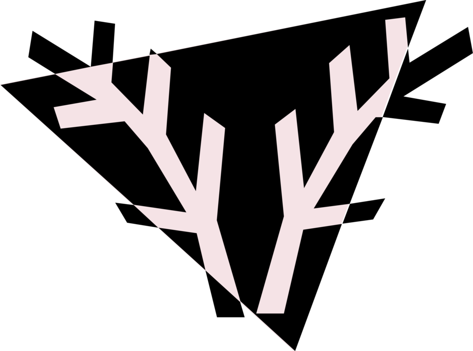Vector Illustration of Deciduous Tree Branches