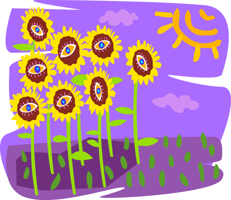 Vector Illustration of Field of Sunflowers with Sun