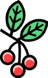 R4fa48p3b food0738