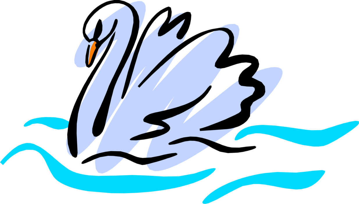 Vector Illustration of White Mute Swan Swimming