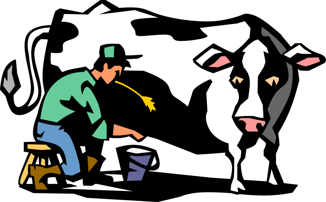 Vector Illustration of Dairy Farmer Milking Holstein Cow in Farm Barn with Milk Can