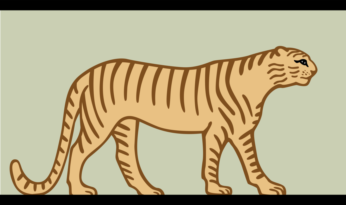 Vector Illustration of African Tiger