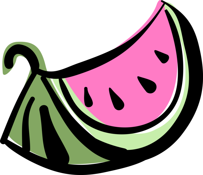 Vector Illustration of Watermelon Fruit Melon