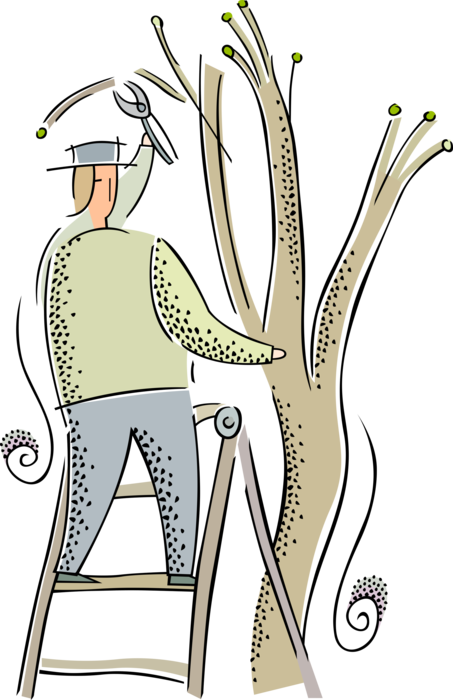 Vector Illustration of Gardener Prunes Tree Branches with Pruning Shears