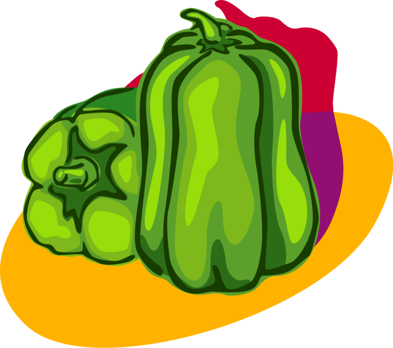 Vector Illustration of Green Pepper Capsicum Bell Peppers