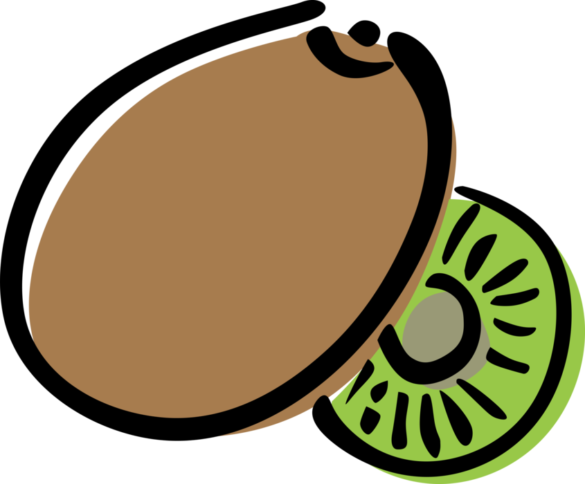 Vector Illustration of Kiwifruit, Chinese Gooseberry or Kiwi Edible Berry Fruit Food