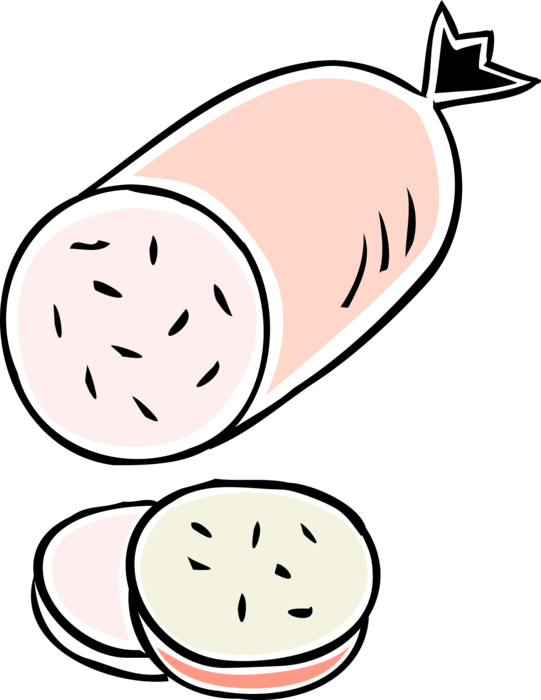 Vector Illustration of Salami Cured Sausage Fermented and Air-Dried Meat