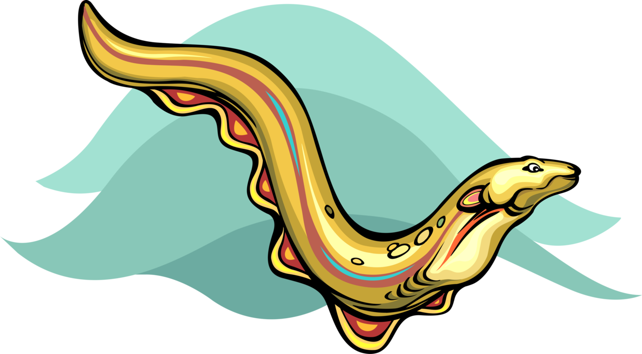 Vector Illustration of Anguilliform Locomotion Marine Eel