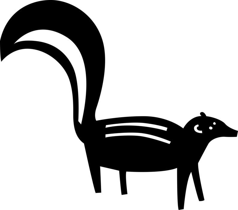 Vector Illustration of Omnivorous Small Mammal Skunk