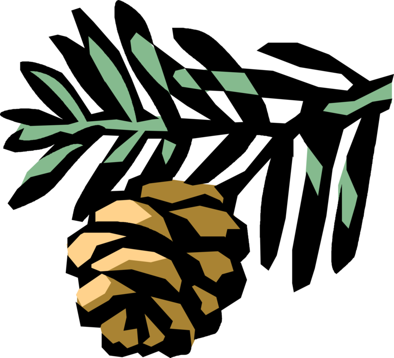 Vector Illustration of Conifer Tree Pine Cone and Coniferous Evergreen Branch